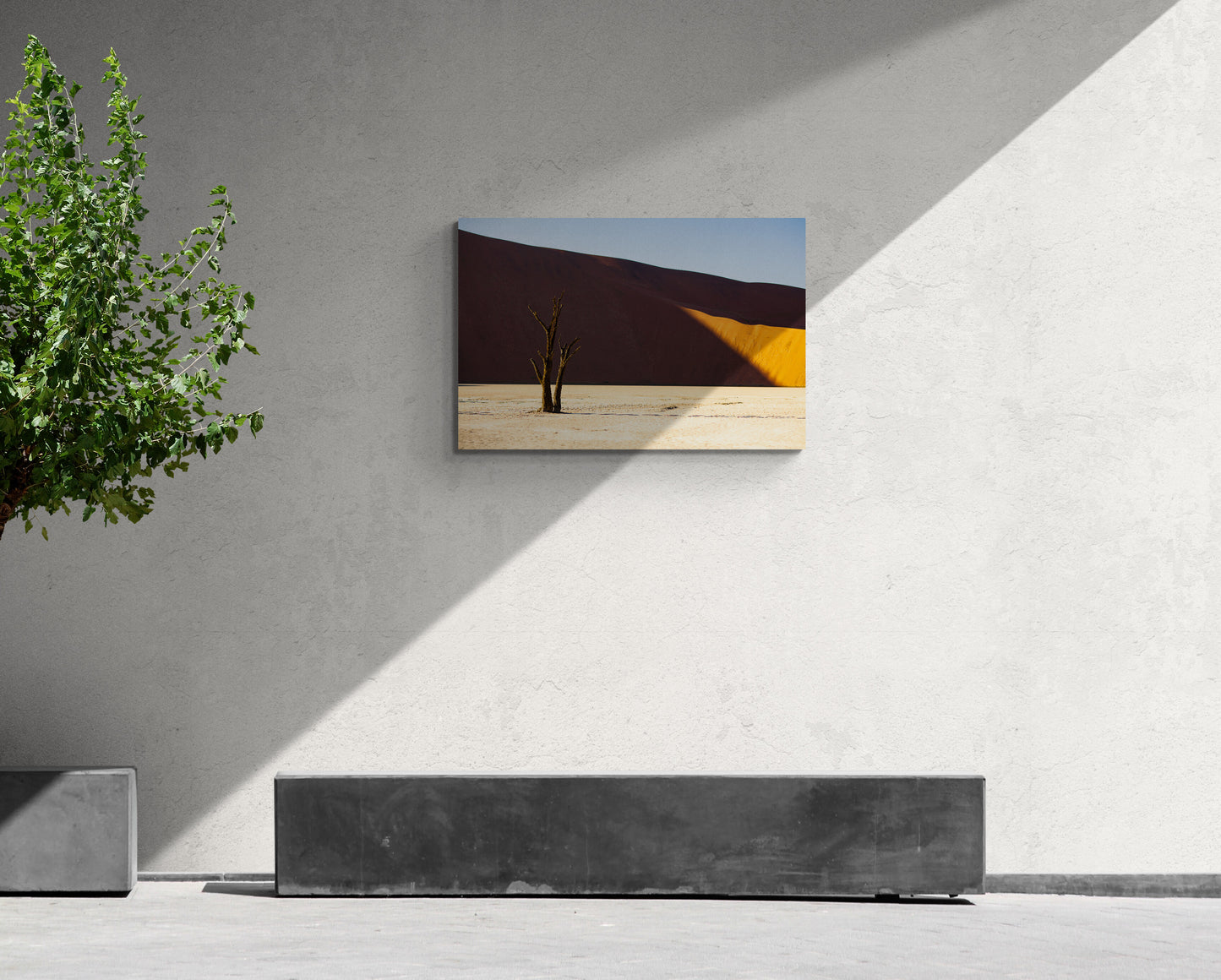 Deadvlei, Namibia - Photography Wall Art - ChromaLuxe Metal Print