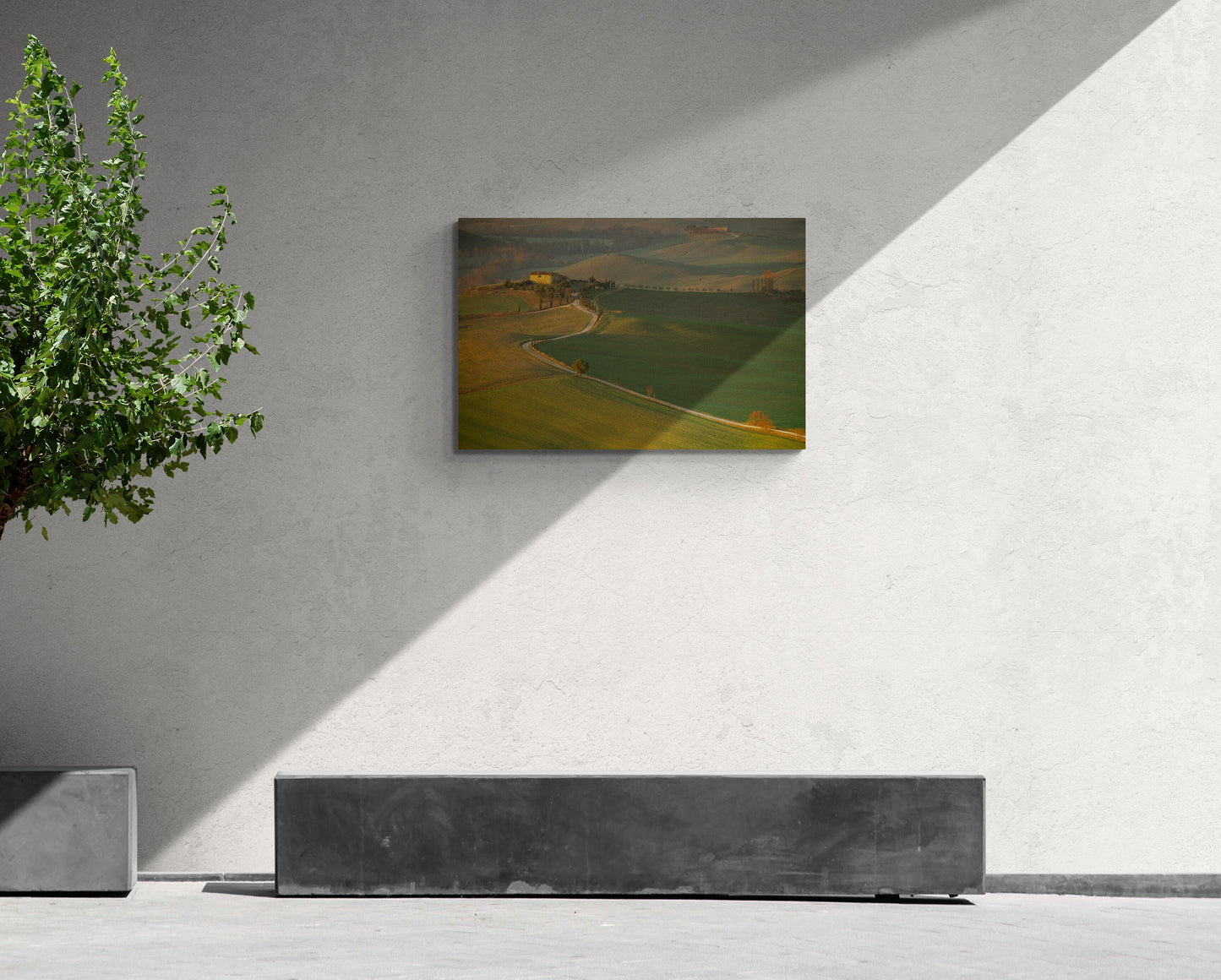 The Golden Path to Tuscany - Val d'Orcia - Tuscany, Italy - Photography Wall Art - ChromaLuxe Metal Print