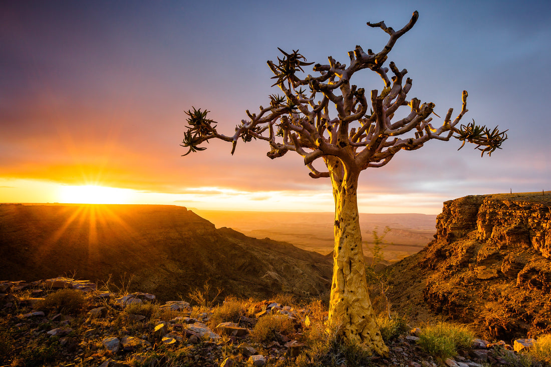 Living on the Edge - Fish River Canyon, Namibia