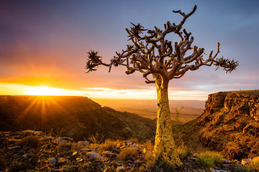 Living on the Edge - Fish River Canyon, Namibia