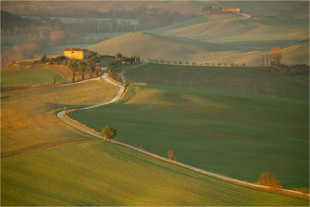 Main image The Golden Path to Tuscany - Val d'Orcia - Tuscany, Italy - Photography Print
