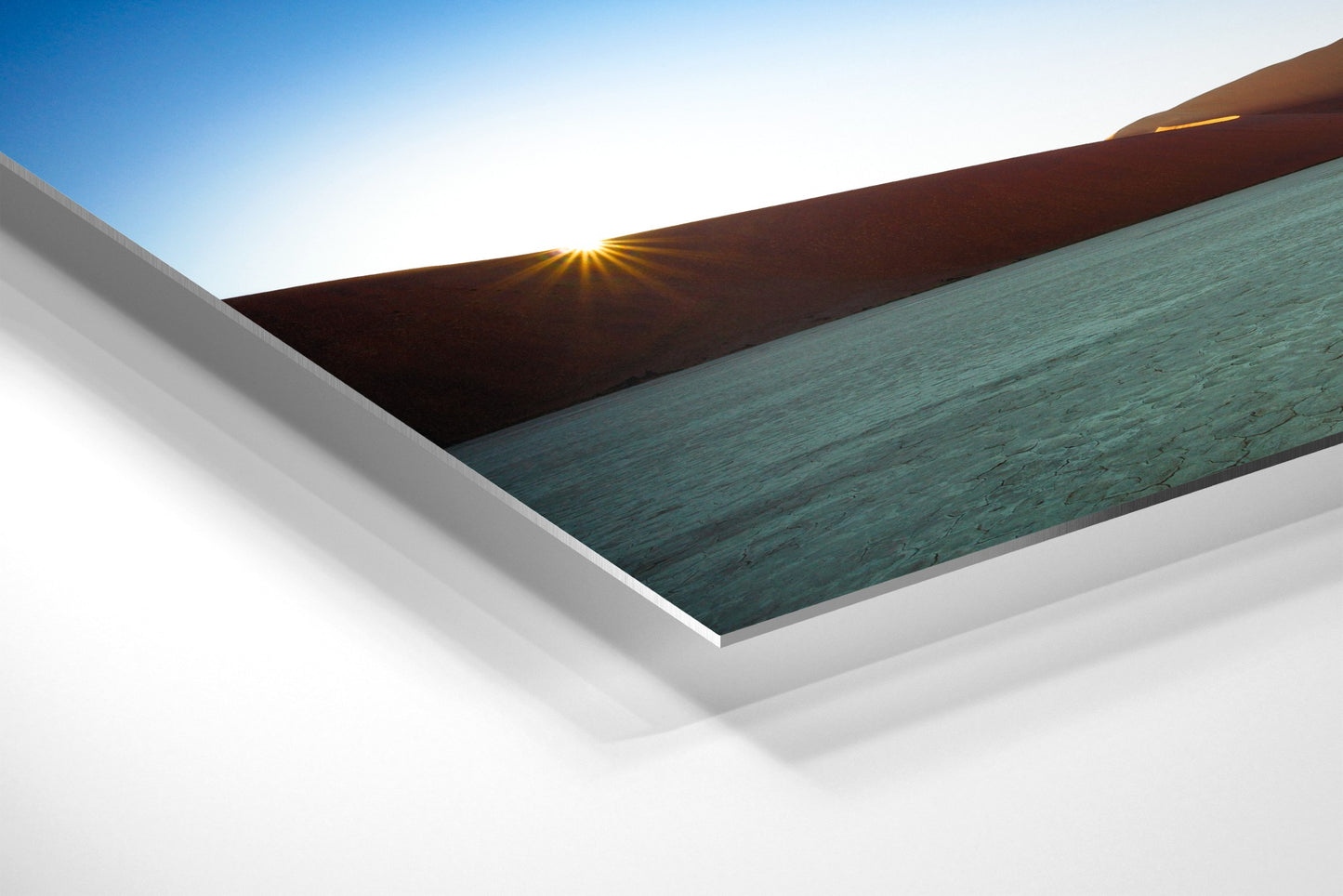 Rooted in Silence - Deadvlei, Namibia - Photography Wall Art - ChromaLuxe Metal Print