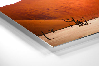 Deadvlei, Namibia - Photography Wall Art - ChromaLuxe Metal Print