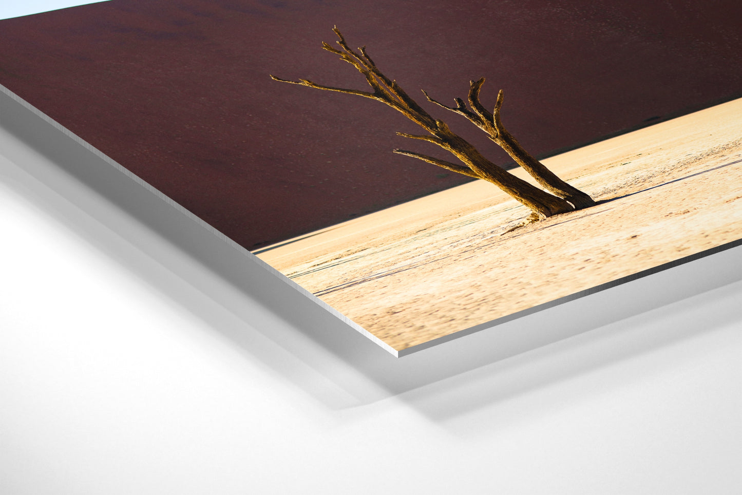 Deadvlei, Namibia - Photography Wall Art - ChromaLuxe Metal Print