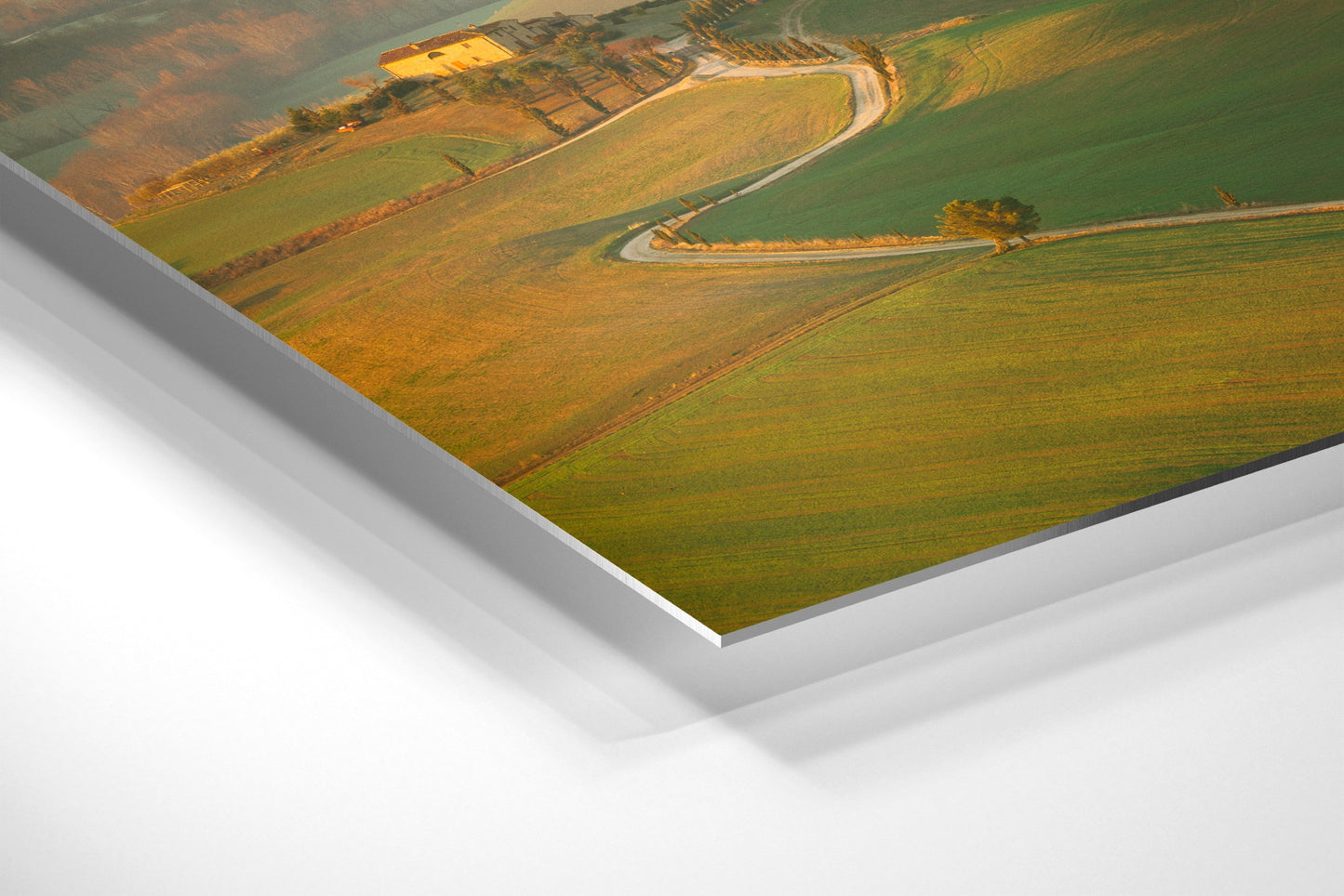 The Golden Path to Tuscany - Val d'Orcia - Tuscany, Italy - Photography Wall Art - ChromaLuxe Metal Print