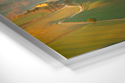 The Golden Path to Tuscany - Val d'Orcia - Tuscany, Italy - Photography Wall Art - ChromaLuxe Metal Print