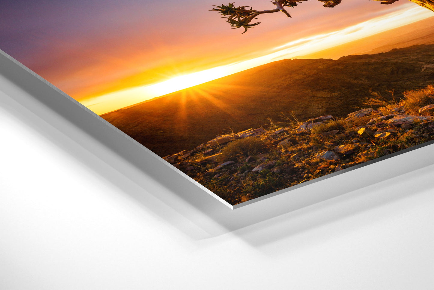 Living on the Edge - Namibia - Photography Wall Art - ChromaLuxe Metal Print