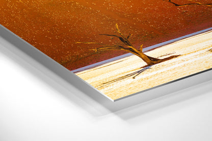 Three Musketeers - Deadvlei, Namibia - Photography Wall Art - ChromaLuxe Metal Print