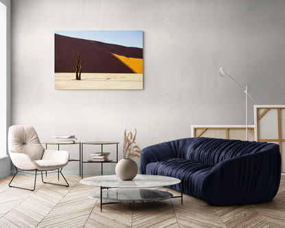 Deadvlei, Namibia - Photography Wall Art - ChromaLuxe Metal Print