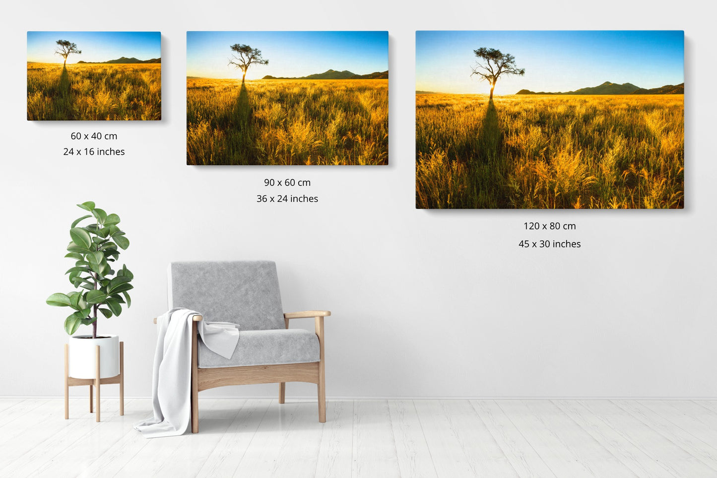 Golden Grass - Namib Rand - Photography Wall Art - ChromaLuxe Metal Print