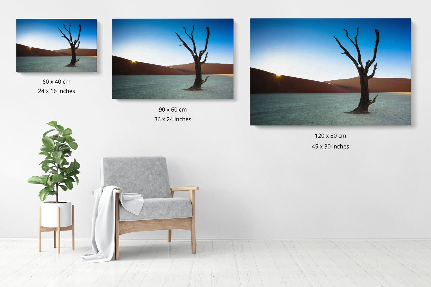 Rooted in Silence - Deadvlei, Namibia - Photography Wall Art - ChromaLuxe Metal Print