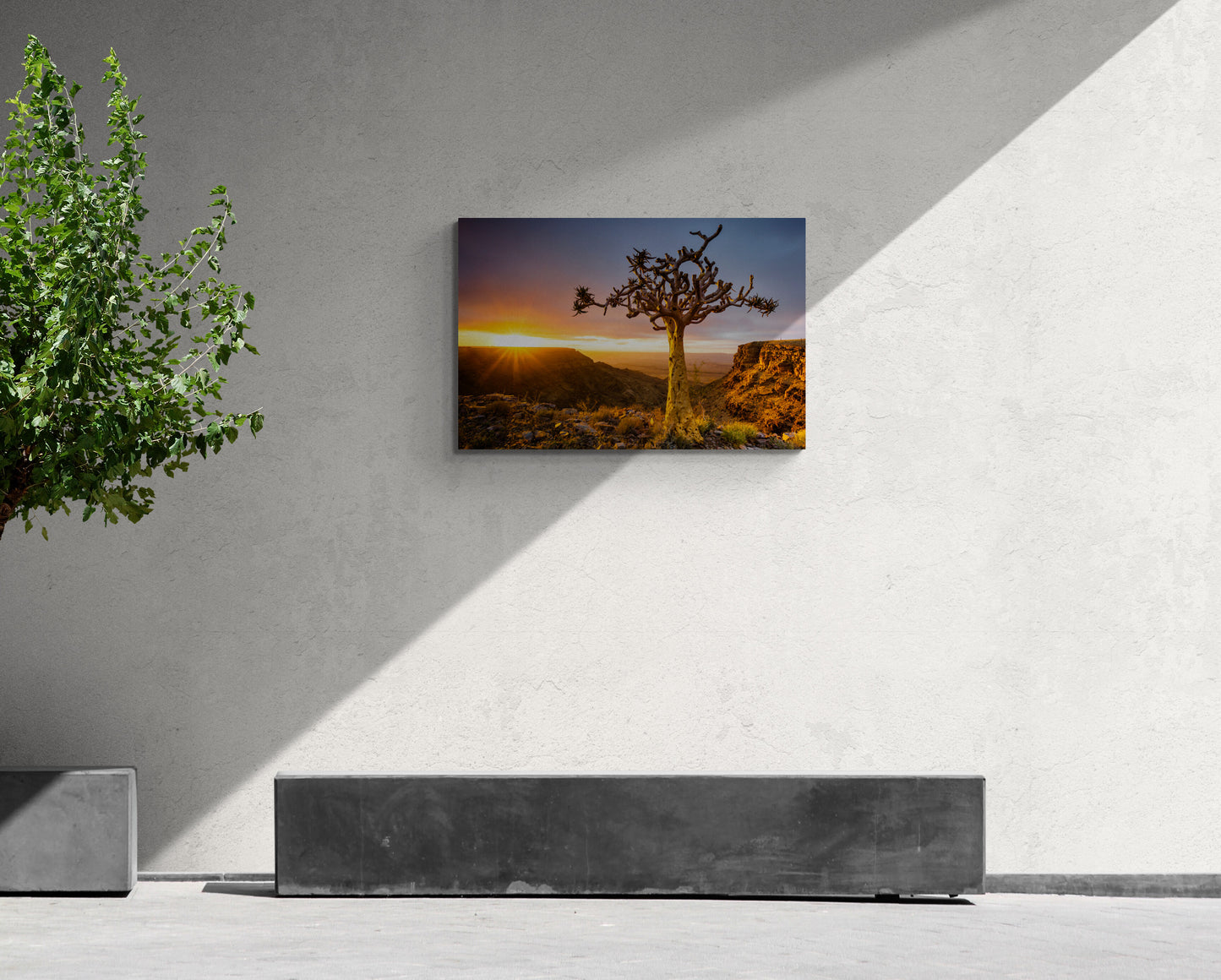Living on the Edge - Namibia - Photography Wall Art - ChromaLuxe Metal Print