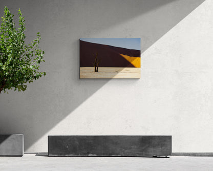 Deadvlei, Namibia - Photography Wall Art - ChromaLuxe Metal Print