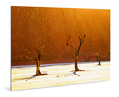 Three Musketeers - Deadvlei, Namibia - Photography Wall Art - ChromaLuxe Metal Print