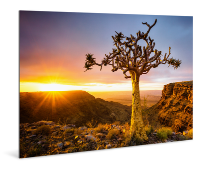 Living on the Edge - Namibia - Photography Wall Art - ChromaLuxe Metal Print
