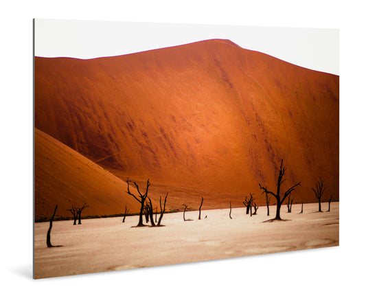Deadvlei, Namibia - Photography Wall Art - ChromaLuxe Metal Print