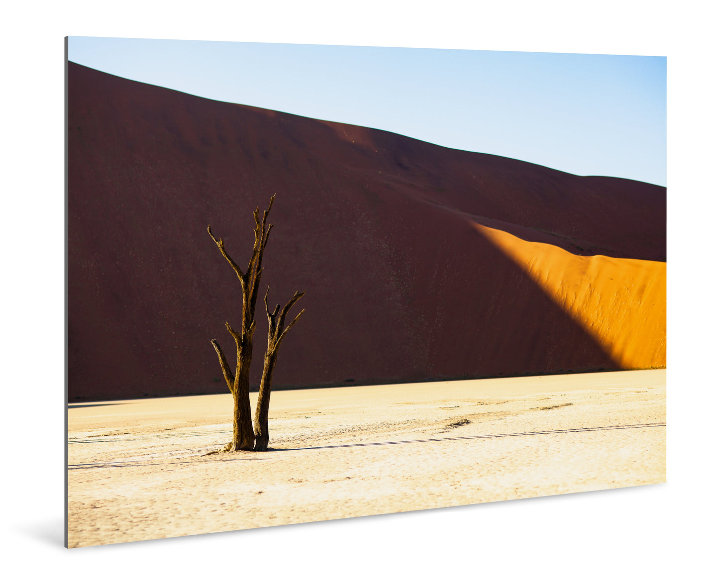 Deadvlei, Namibia - Photography Wall Art - ChromaLuxe Metal Print