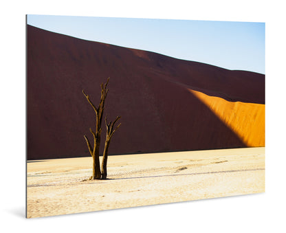 Deadvlei, Namibia - Photography Wall Art - ChromaLuxe Metal Print