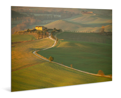 The Golden Path to Tuscany - Val d'Orcia - Tuscany, Italy - Photography Wall Art - ChromaLuxe Metal Print